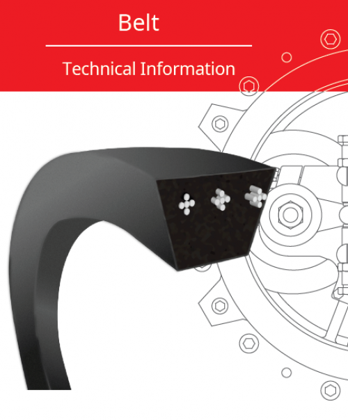 belt brochure cover 