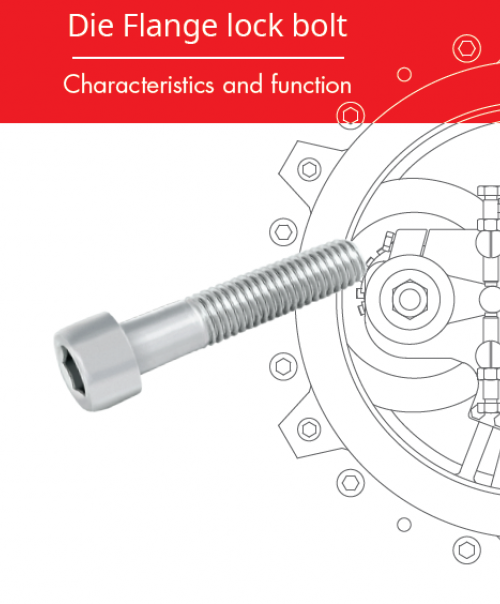 die lock bolt cover