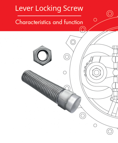 lever locking screw cover