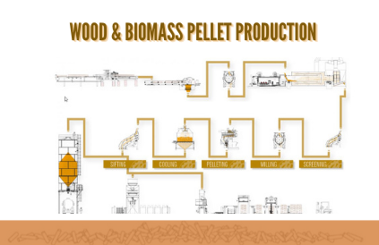 wood&biomass pellet production
