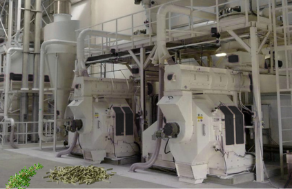 pelleting line for alfalfa